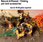 Hamiledyi Aquarium Driftwood 3PCS Natural Trunk Driftwood Assorted Branches - Image 5