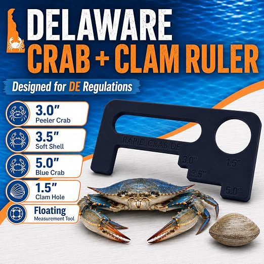 Crab Measurement Tool for DE Blue Crabs, Peeler Crabs, & Clams | DE Regulation - Image 2
