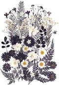 12 Types 48PCS Real Dried Pressed Flowers by AHTONG