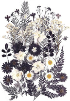 12 Types 48PCS Real Dried Pressed Flowers by AHTONG