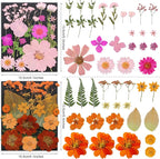 285Pcs 9 Packs Mixed Types Real Natural Dried Pressed Flowers & Leaves - Image 6