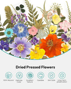 Dried Flowers, Resiners 174Pcs Pressed Flowers - Image 4