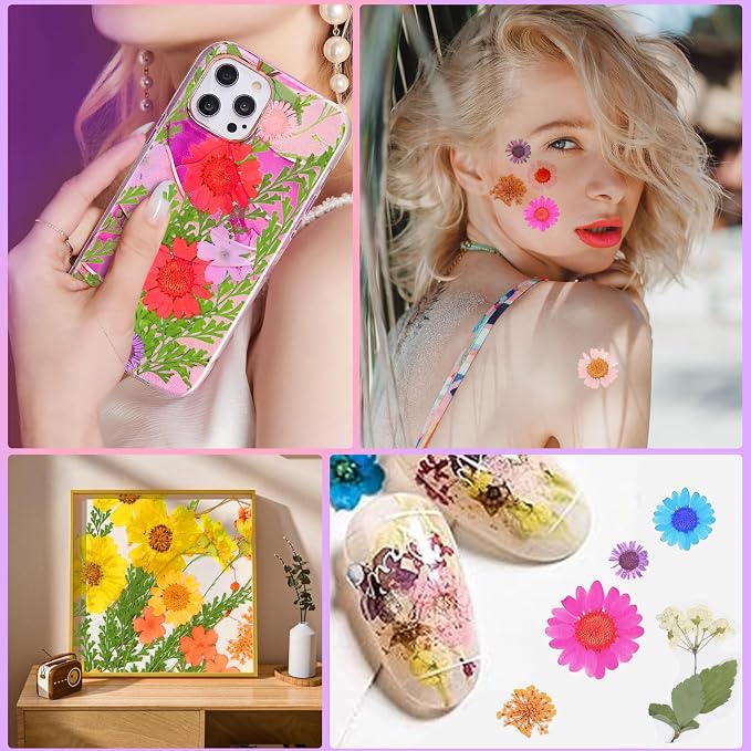 96Pcs Dried Pressed Flowers for Resin, Bulk Natural Dried Flowers, for - Image 5