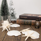 JQAQJU 20PCS Sea Shells for Crafting 3-4", Mini Sand Dollars Starfish Decor for - Image 4