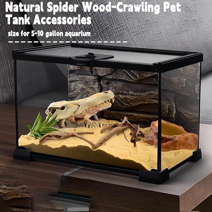 Hamiledyi 6PCS Aquarium Driftwood 6-8in Natural Spider Wood Branches Reptiles - Image 5