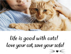Sofisti - Cat Scratch Deterrent Tape - Image 6