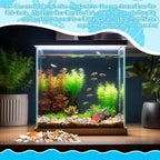 WEOXPR Mixed Seashells & Starfish Decor - Image 5