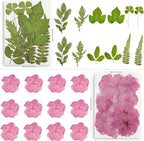 95PCS Dried Pressed Flowers for Crafts - Image 7