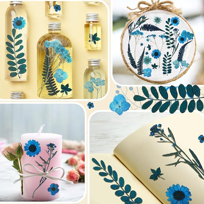 Fabbay 200 Pcs Dried Pressed Flowers Real Dry Natural Flower Leaf Dried Flowers - Image 7