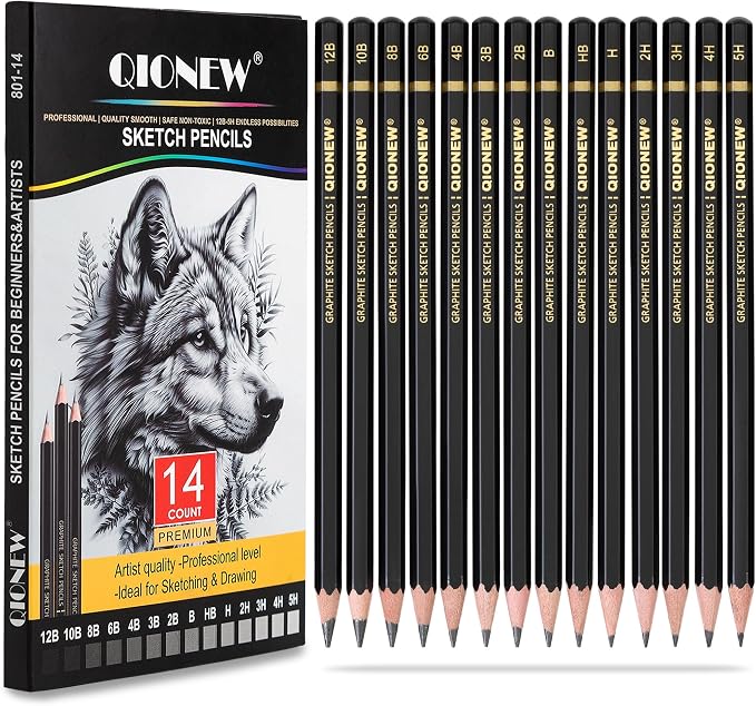 Qionew Professional Sketching Pencil by Qionew