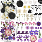 301Pcs Multi-Style Dried Pressed Flowers & Leaves - Image 7