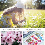 153 Pcs Dried Pressed Flowers Leaves - Image 7