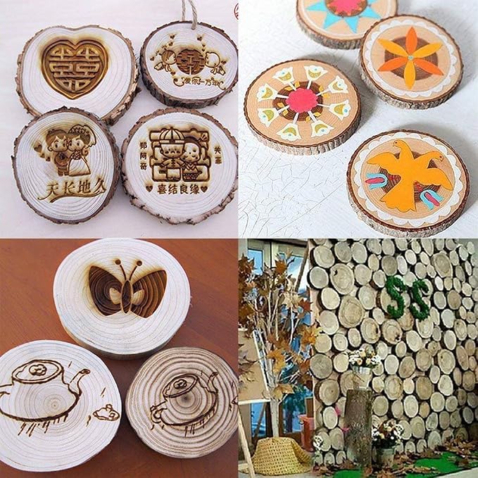 Unfinished Natural Wood Slices 12 Pcs 3.5-4 inch Craft Wood kit Circles Crafts - Image 4