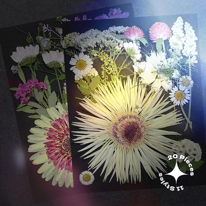 White Dried Pressed Flowers - Image 6