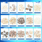 Fangoo 15 Types 800 Pcs Natural Tiny Mini Sea Shell Conch Starfish - Image 2
