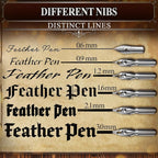 Victorian Writing Quill and Ink Set – Stainless Steel Dip Pen Feather Quill Pen - Image 5