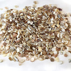 QICQDRAM Crushed Shells for Crafts About 2LB Small Natural Crushed Shells Bulk - Image 2