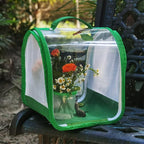 Small Butterfly Habitat, Insect Mesh Cage, Caterpillar Enclosure, Critter Cage - Image 7