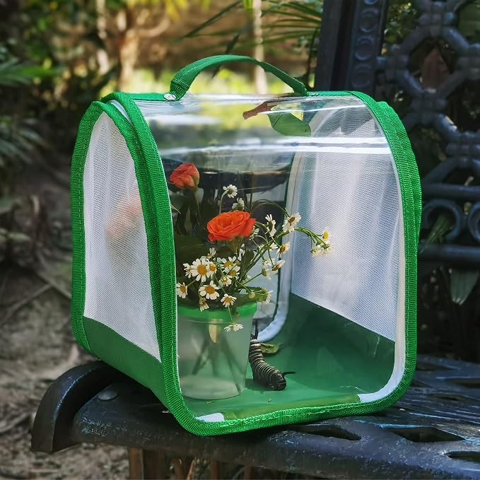 Small Butterfly Habitat, Insect Mesh Cage, Caterpillar Enclosure, Critter Cage - Image 7