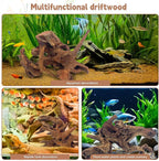 PINVNBY Natural Driftwood for Aquarium Fish Tank Decorations Assorted Branches - Image 3