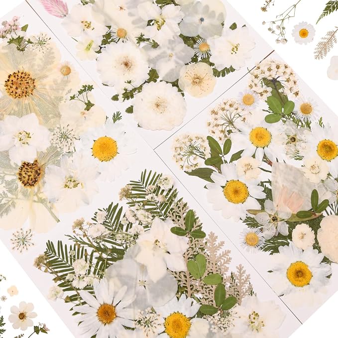 110+PCS Pressed Flowers for Resin, Colorful-i | Real Dried Flower Leaves - Image 3