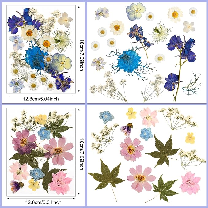 Nuanchu Dried Flower for Crafts Resin Pressed Flowers Bulk Real Dried - Image 4