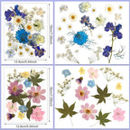 Nuanchu Dried Flower for Crafts Resin Pressed Flowers Bulk Real Dried - Image 4