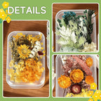 2PCS Dried Flowers Kit, Natural Dried Flowers Kit - Image 5