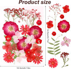 Dried Pressed Flowers Real Pressed Flowers Natural Dry Leaves Bulk Mixed - Image 2