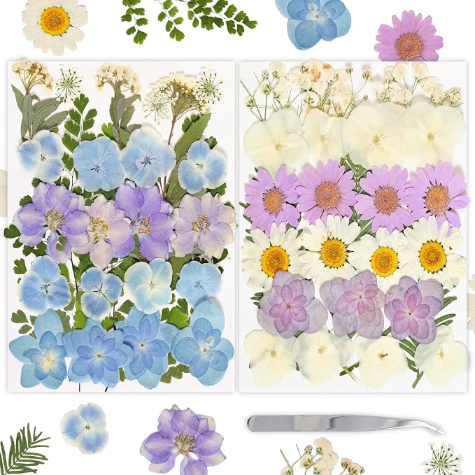 Dried Pressed Flowers Real Pressed Flowers Natural Dry Leaves Bulk Mixed by Gvhntk