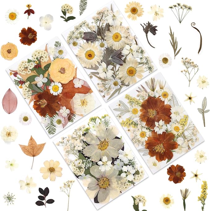LUXEEASE 100P Vintage Cream Brown Dried Pressed Flowers | Earthy warm palette by LUXEEASE
