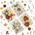 LUXEEASE 100P Vintage Cream Brown Dried Pressed Flowers | Earthy warm palette by LUXEEASE