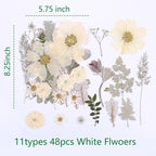 48PCS White Large Real Dried Pressed Flowers Leaves Natural Plant Herbarium - Image 2