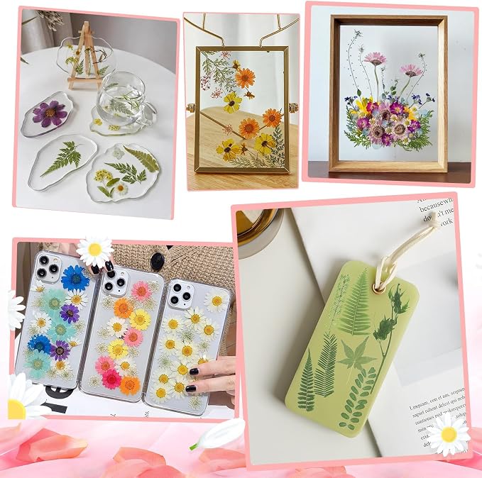 210 Pcs Dried Pressed Flowers for Resin, Dried Pressed Flowers for Crafts - Image 6