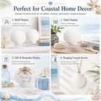 Cizavanta 15 Pack Large Scallop Shells - Image 6