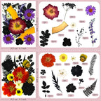 92 Pcs Dried Pressed Flowers Fruits - Image 5