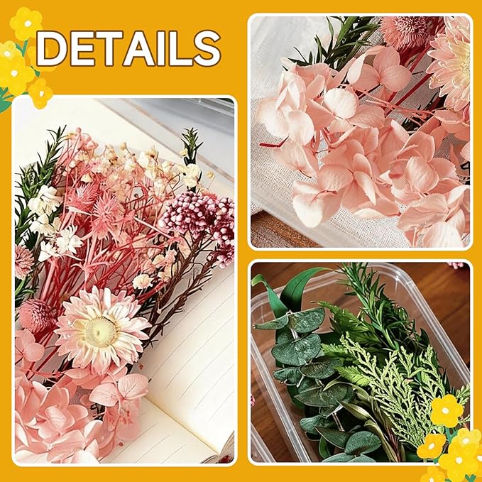 2PCS Dried Flowers Kit, Natural Dried Flowers Kit - Image 4