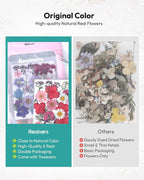 Dried Flowers, Resiners 100Pcs Pressed Flowers - Image 6