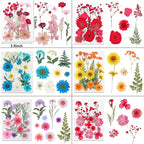NESCCI 428 Pcs Dried Pressed Flowers - Image 5
