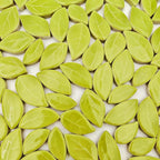 500g/1.1lb Leaf-Shaped Ceramic Mosaic Tiles, Ceramic Mosaic Pieces by Unknown