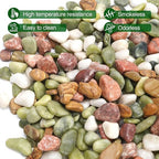 2.2 lb Pebbles for Indoor Plants, 3/8 Inch Decorative Rocks for Potted Plants - Image 6