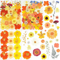96Pcs Fall Dried Pressed Flowers by Unknown