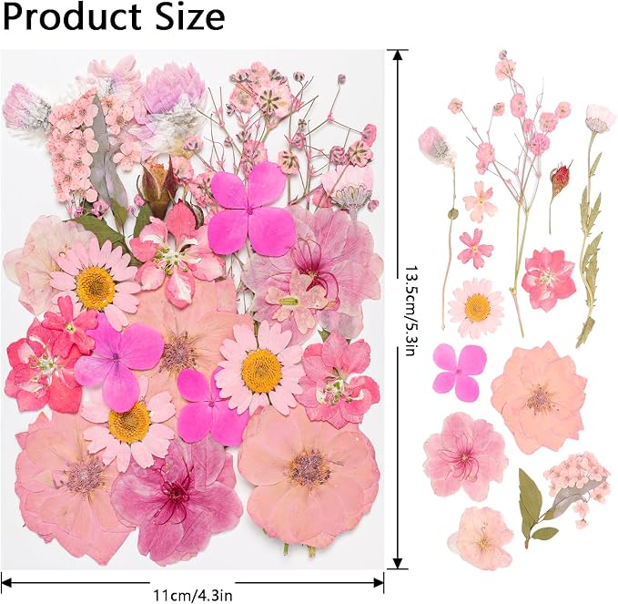 50Pcs Dried Pressed Flowers Real Pressed Flowers Natural Dry Leaves Bulk Mixed - Image 2