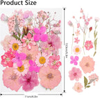 50Pcs Dried Pressed Flowers Real Pressed Flowers Natural Dry Leaves Bulk Mixed - Image 2