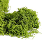 USMOLA Fake Moss for Potted Plants Indoor, 7OZ Green Moss for Crafts - Image 3