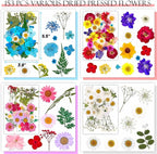 153 Pcs Dried Pressed Flowers Leaves - Image 4