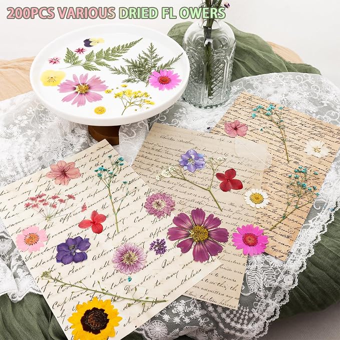 200Pcs Dried Pressed Flowers Resin Mould Real Flowers Natural Dry Leaves Bulk - Image 2