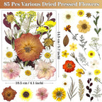 85Pcs Boho Dried Flowers for Crafts, Real Natural Pressed Flowers for Crafts - Image 3