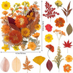 140 Pcs Fall Dried Pressed Flowers - Image 2