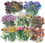 Imeepa 320Pcs Natural Flower Stickers Transparent Scrapbooking Stickers | PET by Imeepa